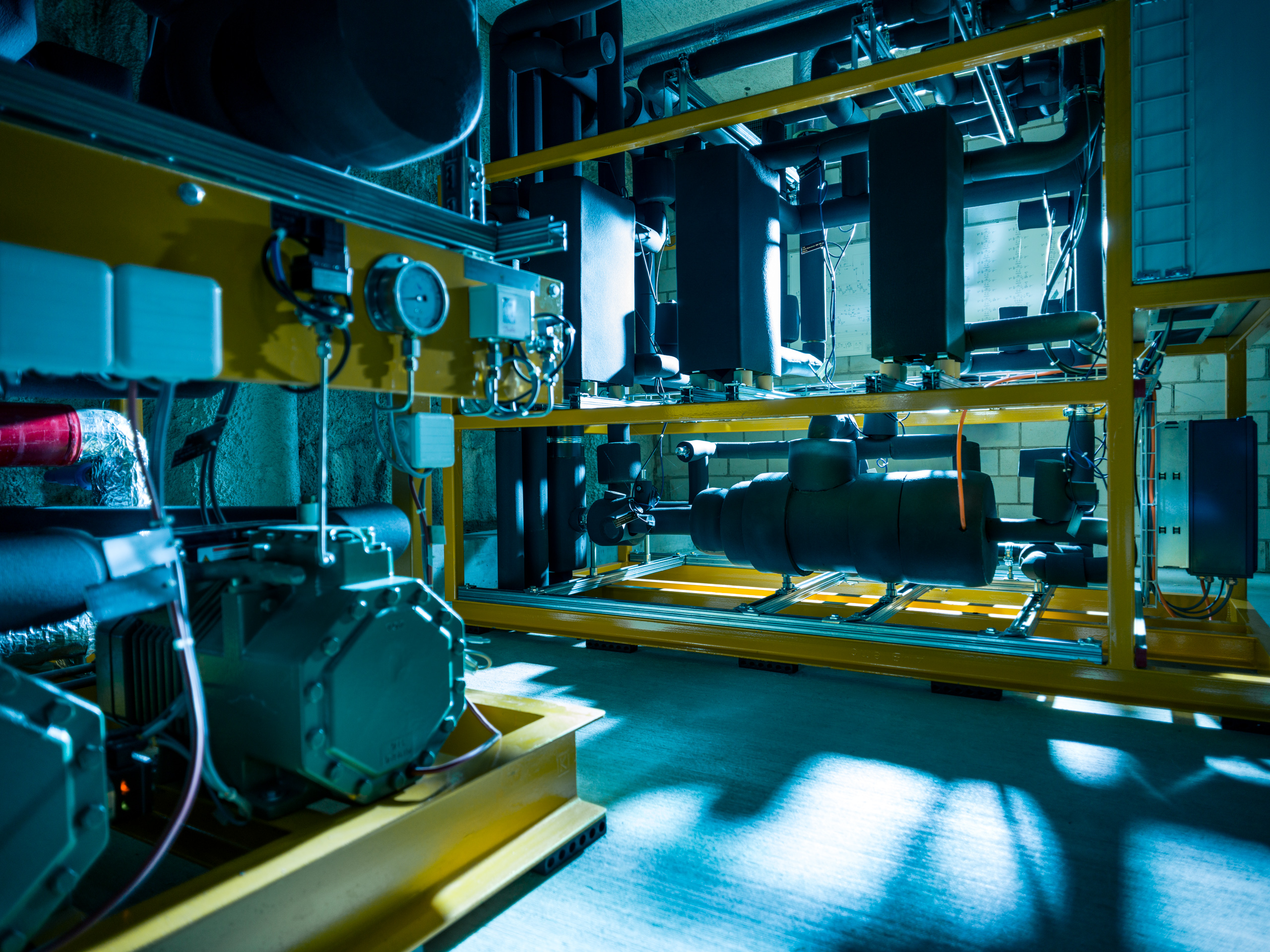 B0078159-Bearbeitet.jpg B0078159-Bearbeitet